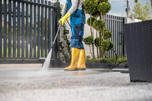 Best Rust Removal  in Dellwood, MO